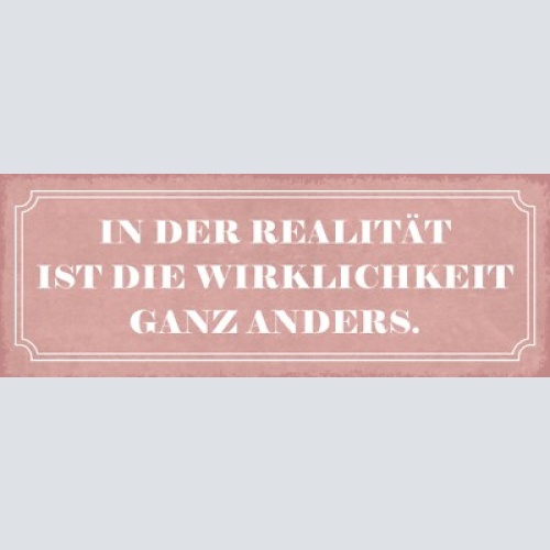 Schild in der realität ist die wirklichkeit ganz anders 27x10 blech od.holz