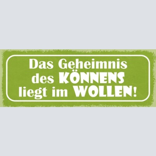 Schild das geheimnis des könnens liegt im wollen möchten 27x10 blech od.holz