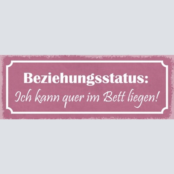 Schild beziehungsstatus ich kann quer im bett liegen liebe 27x10 blech od.holz