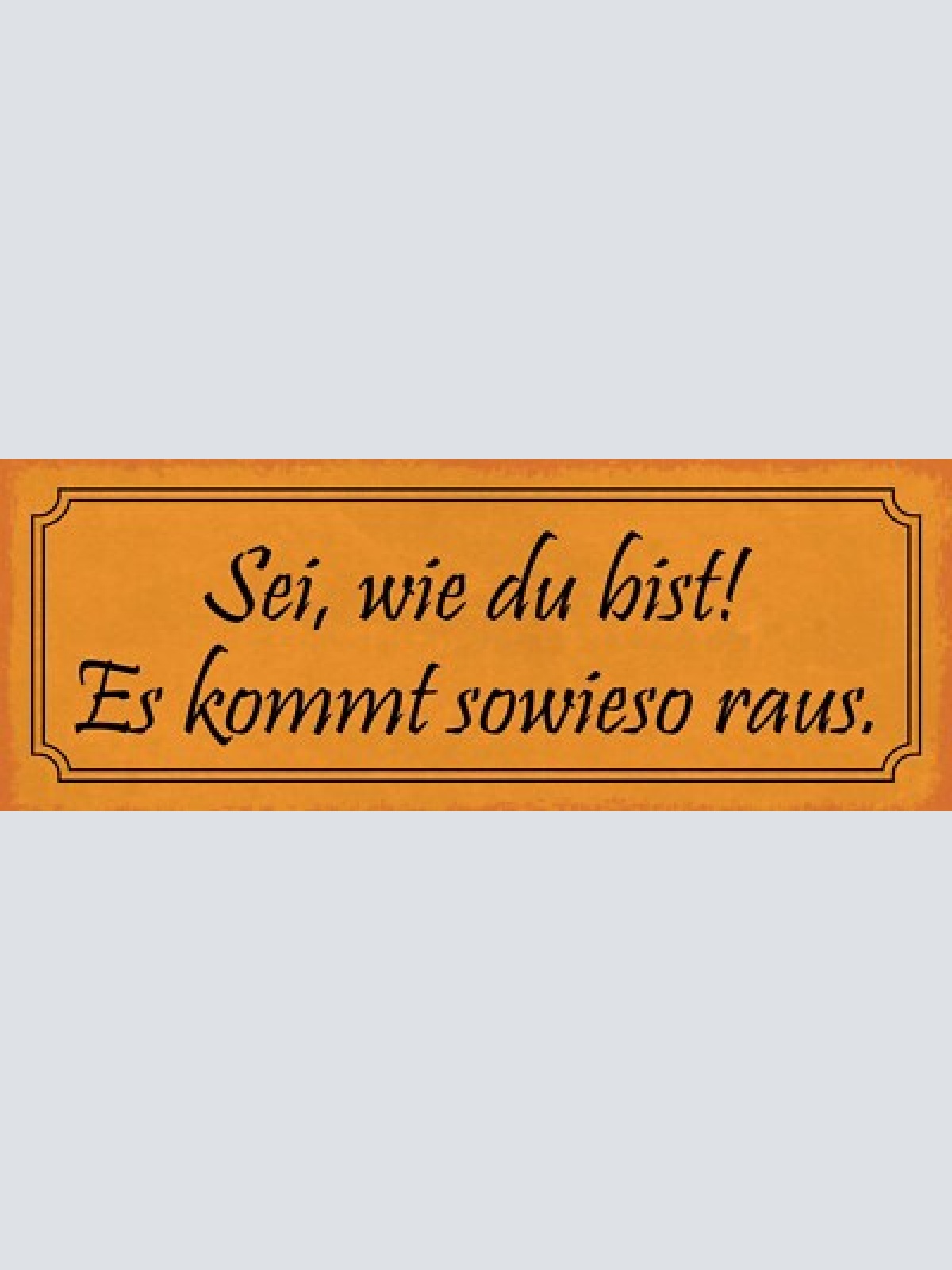 Schild sei wie du bist es kommt sowieso raus charakter 27x10 blech od.holz