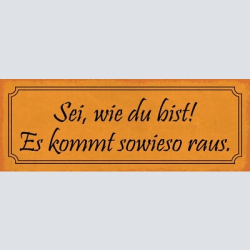 Schild sei wie du bist es kommt sowieso raus charakter 27x10 blech od.holz