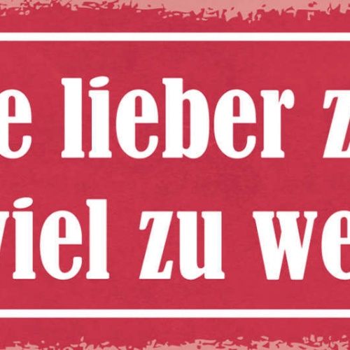 Schild Trinke Lieber Zu Viel Als Viel Zu Wenig Alkohol Bier 27x10 Blech od.Holz