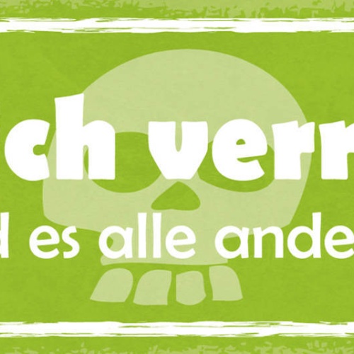 Schild Bin Ich Verrückt Oder Sind Es Die Anderen Irre 27x10 Blech od.Holz