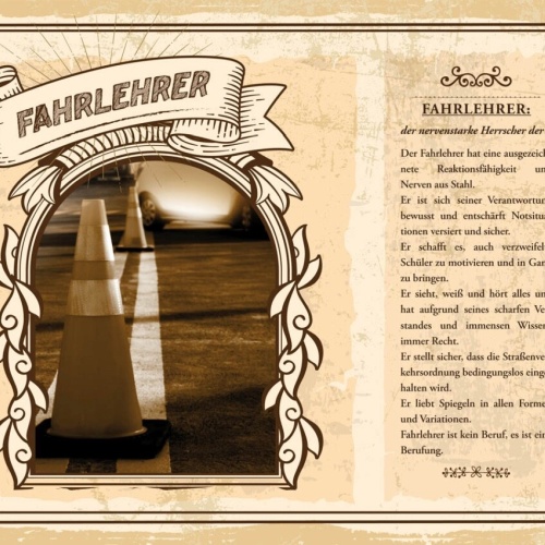 Schild Fahrlehrer Beruf Fahrschule Führerschein 12x18 20x30 30x40 Blech/Holz
