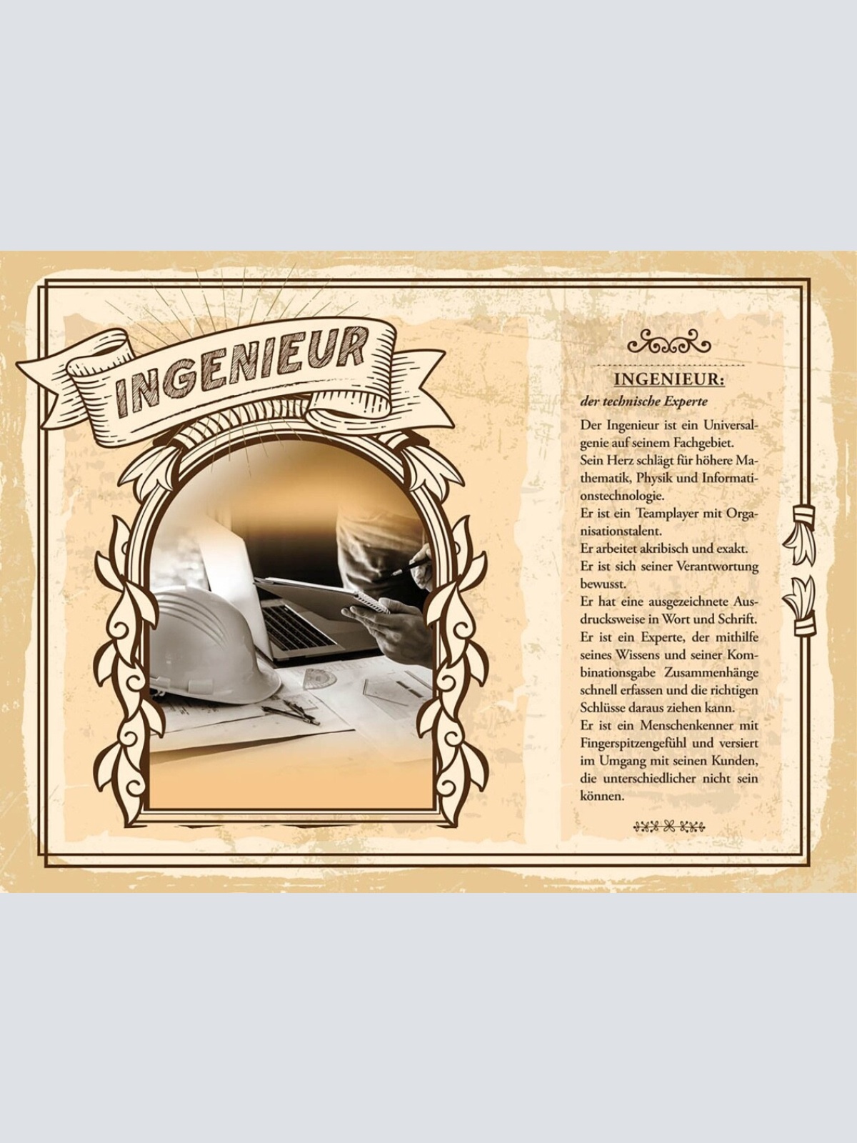 Schild Ingineur Beruf Titel Fachleute Techniker Bau 12x18 20x30 30x40 Blech/Holz