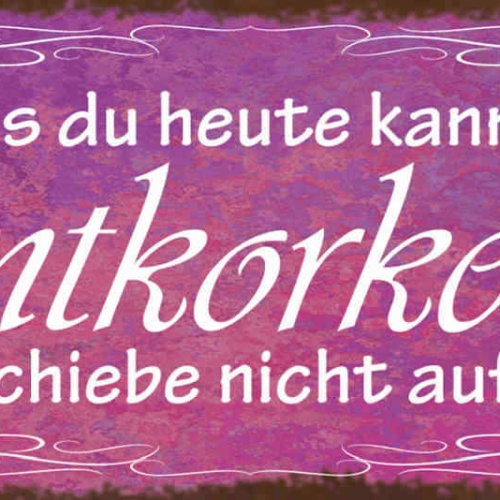 Schild Was Du Heute Kannst Entkorken Das Verschiebe Nicht Auf Morgen Wein 27x10