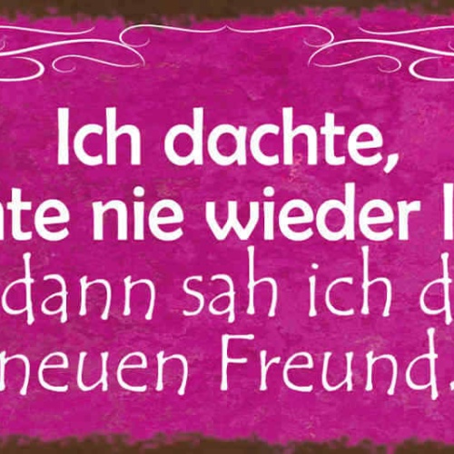 Schild Ich Dachte Ich Könnte Nie Wieder Lachen Dann Sah Ich Deinen Neuen Freund