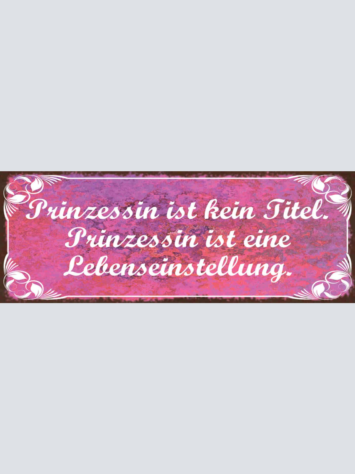 Schild Prinzessin Ist Kein Zustand Prinzessin Ist Eine Lebenseinstellung 27x10