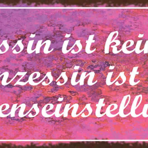 Schild Prinzessin Ist Kein Zustand Prinzessin Ist Eine Lebenseinstellung 27x10