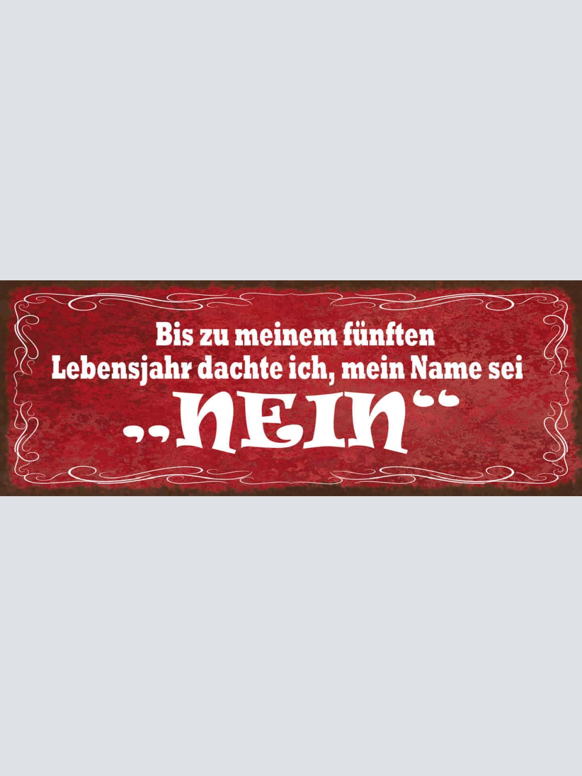 Schild Bis Zu Meinem Sechsten Lebenjahr Dachte Ich Mein Name Sei Nein 27x10