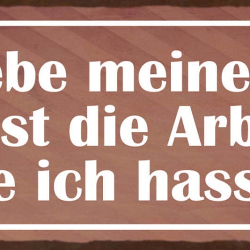 Schild Ich Liebe Meinen Job Es Ist Die Arbeit Die Ich Hasse 27x10 Blech od.Holz