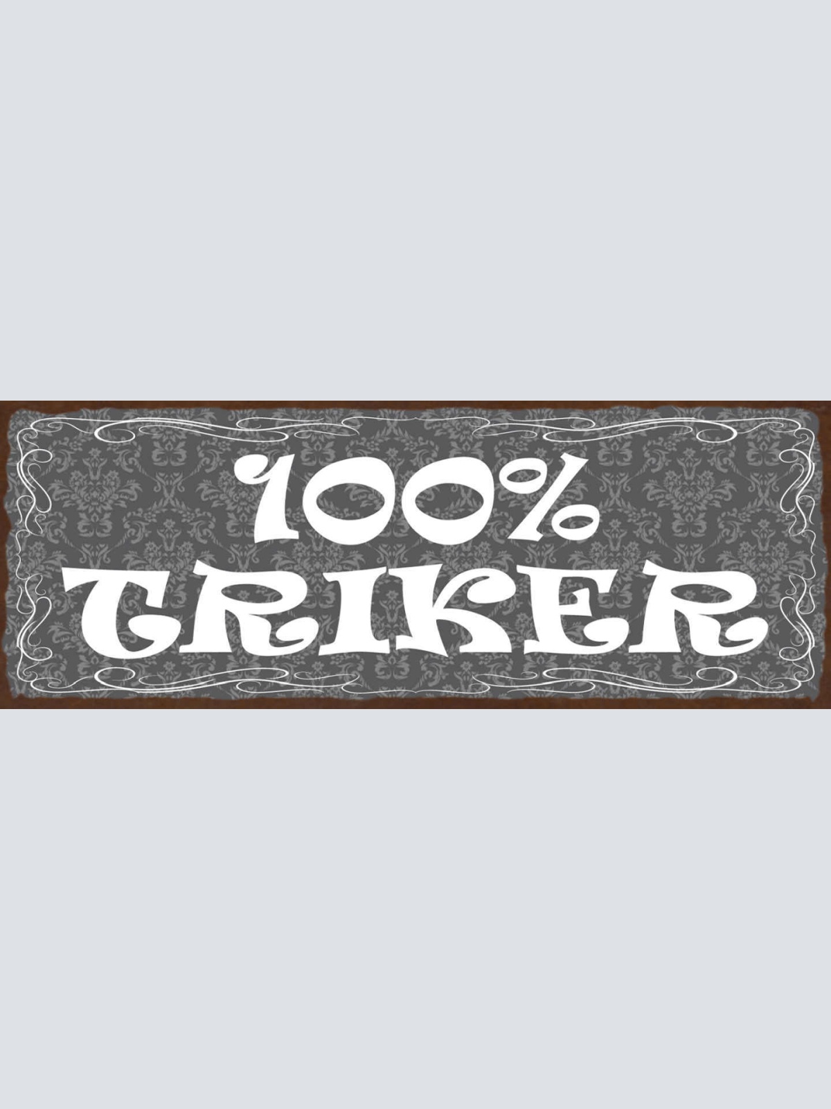 Schild 100% Trinker Alkohol Bier Wein Trinken Lokal Wirt 27x10 Blech od.Holz