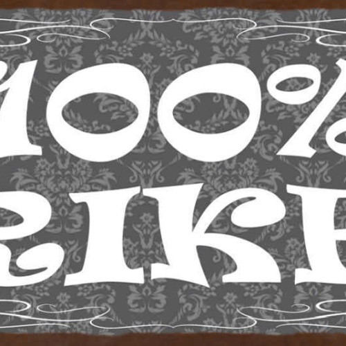 Schild 100% Trinker Alkohol Bier Wein Trinken Lokal Wirt 27x10 Blech od.Holz