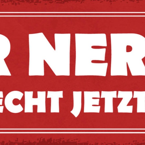 Schild Ihr Nervt! Echt Jetzt Nervig Genervt Frust Ärger 27x10 Blech od.Holz