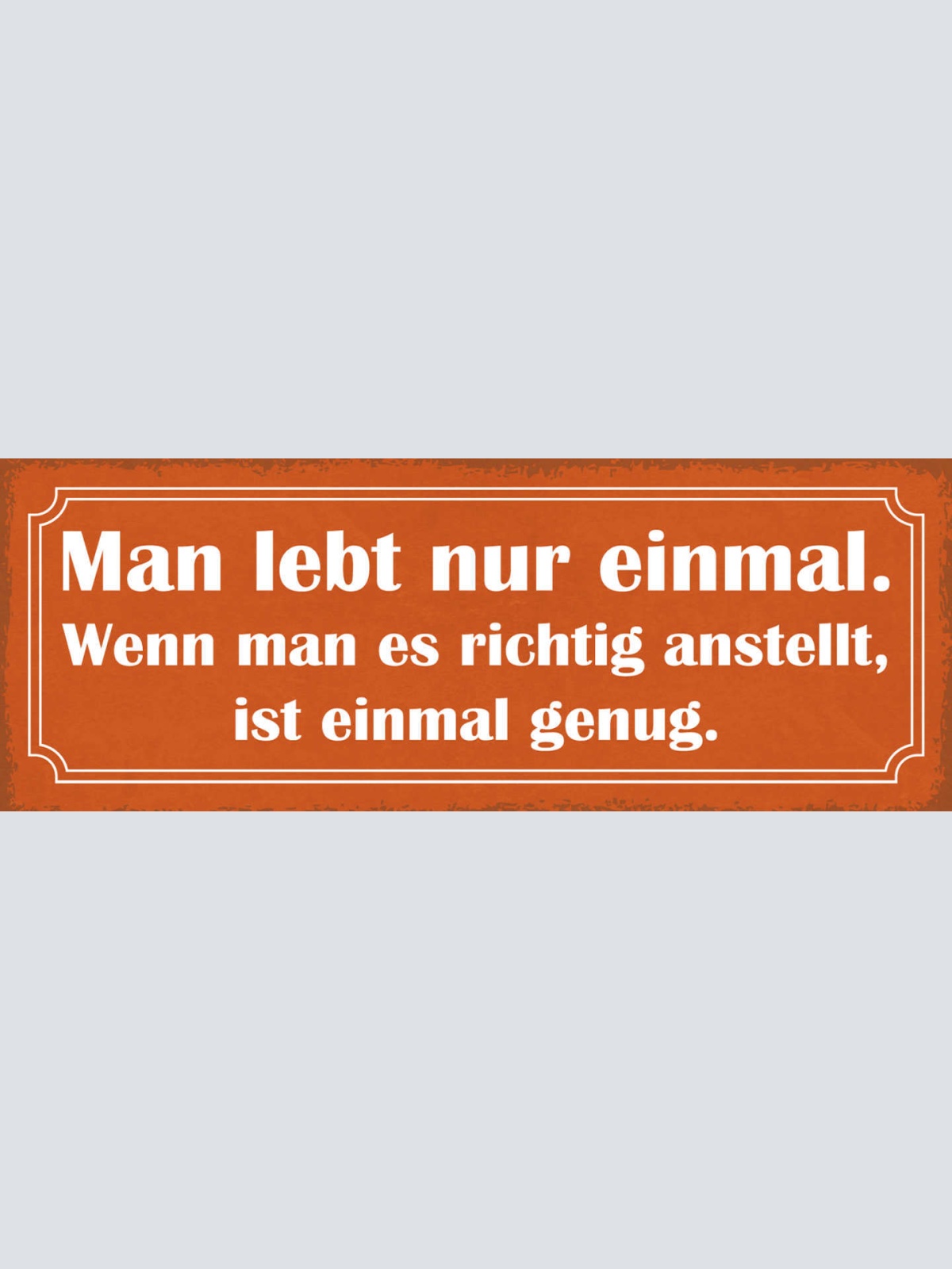 Schild Man Lebt Nur Einmal Wenn Man Es Richtig Anstellt Ist Einmal Genug 27x10
