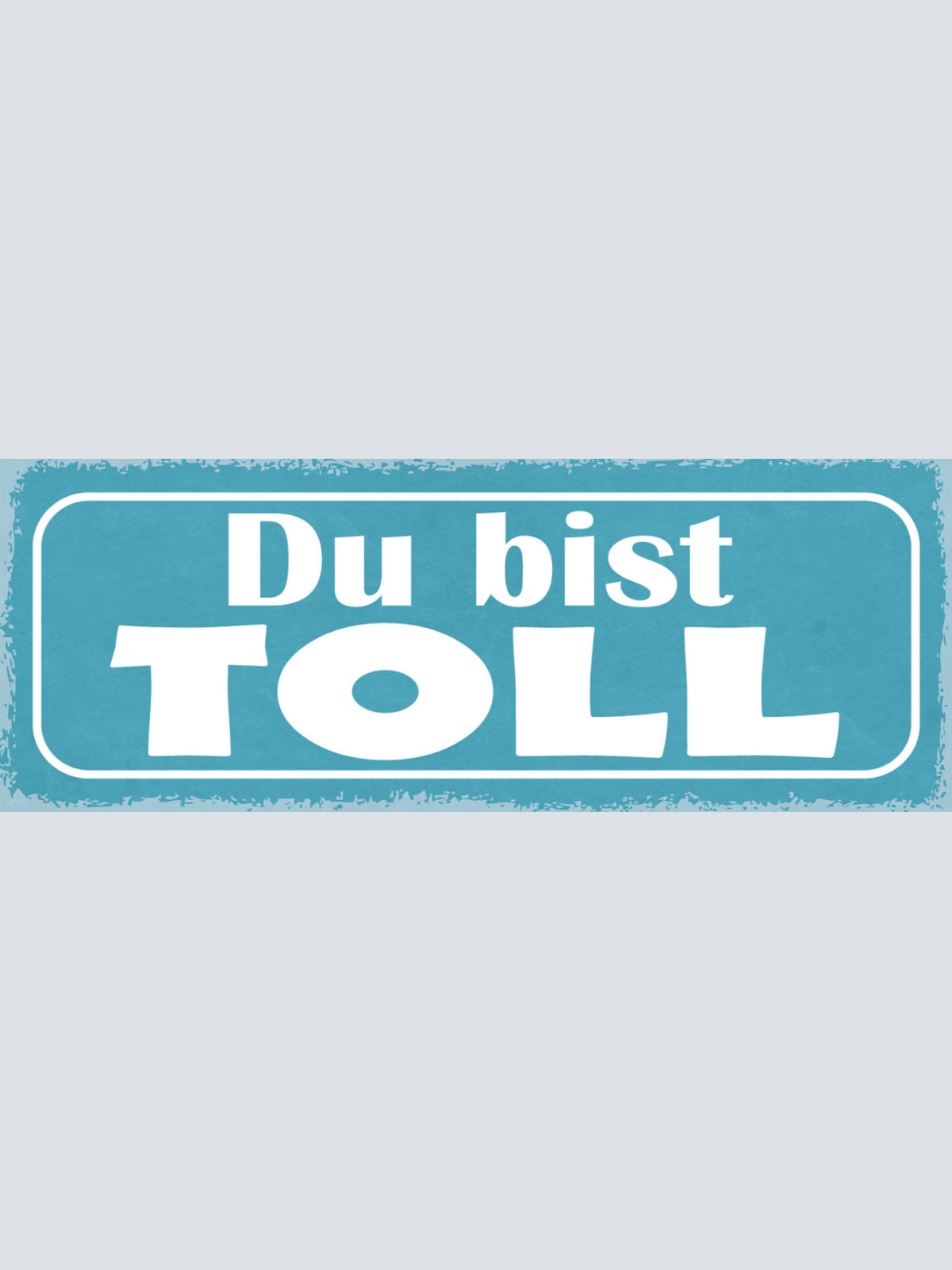 Schild Du Bist Toll Super Spitze Liebe Freundschaft 27x10 Blech od.Holz