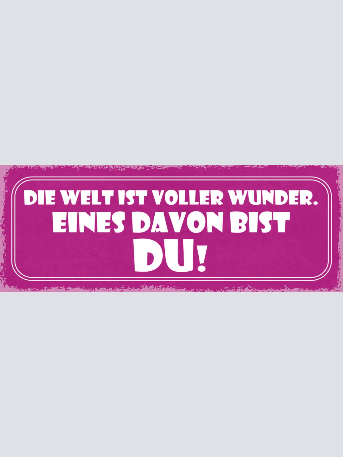 Schild Die Welt Ist Voller Wunder Eines Davon Bist Du Liebe 27x10 Blech od.Holz