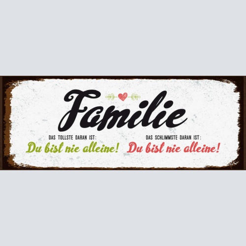 Schild Familie Das Tollste Daran Schlimmste Daran Du Bist Nie Alleine 27x10