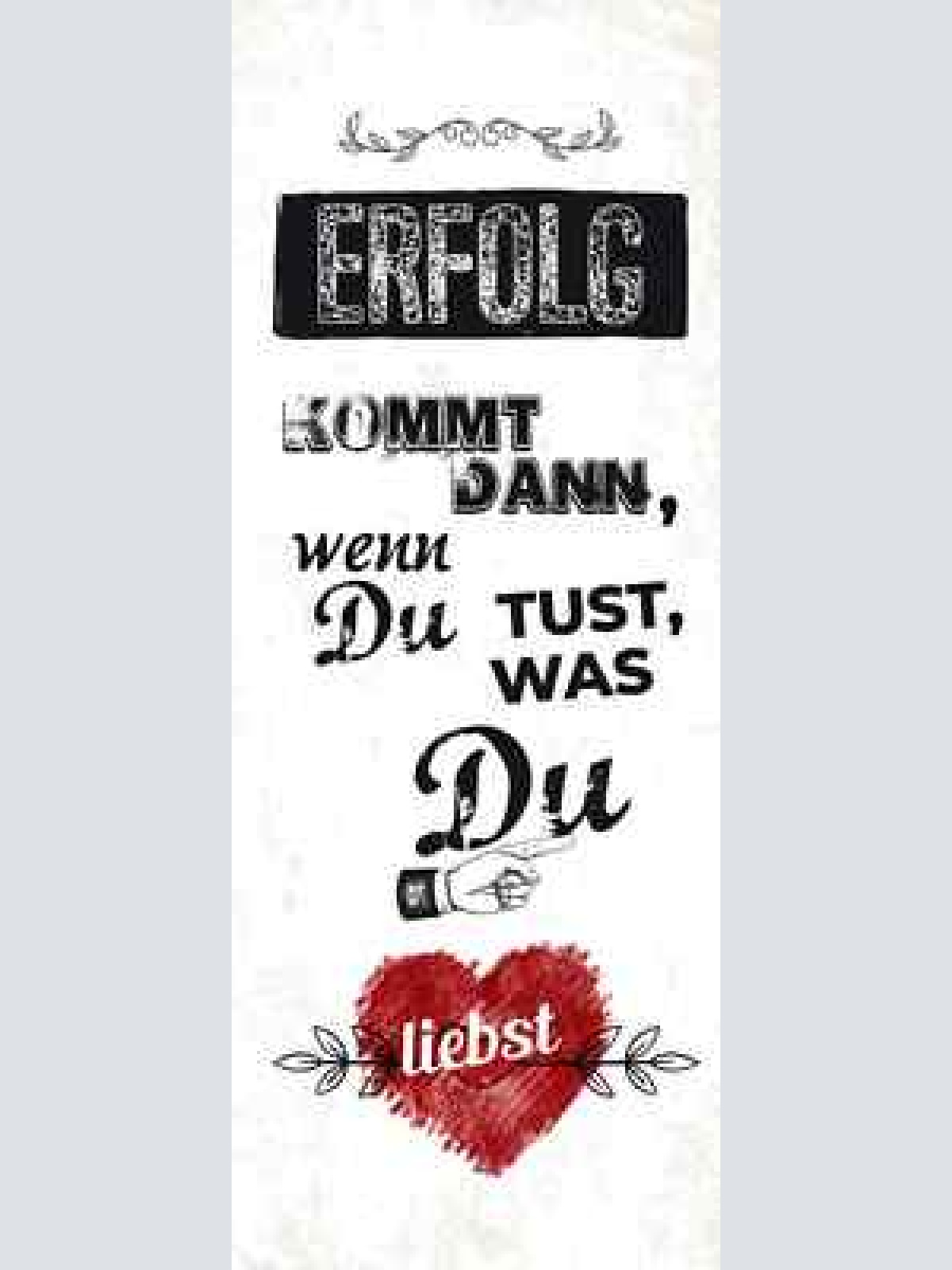 Schild erfolg kommt dann wenn du tust was du liebst leben 27x10 blech od.holz