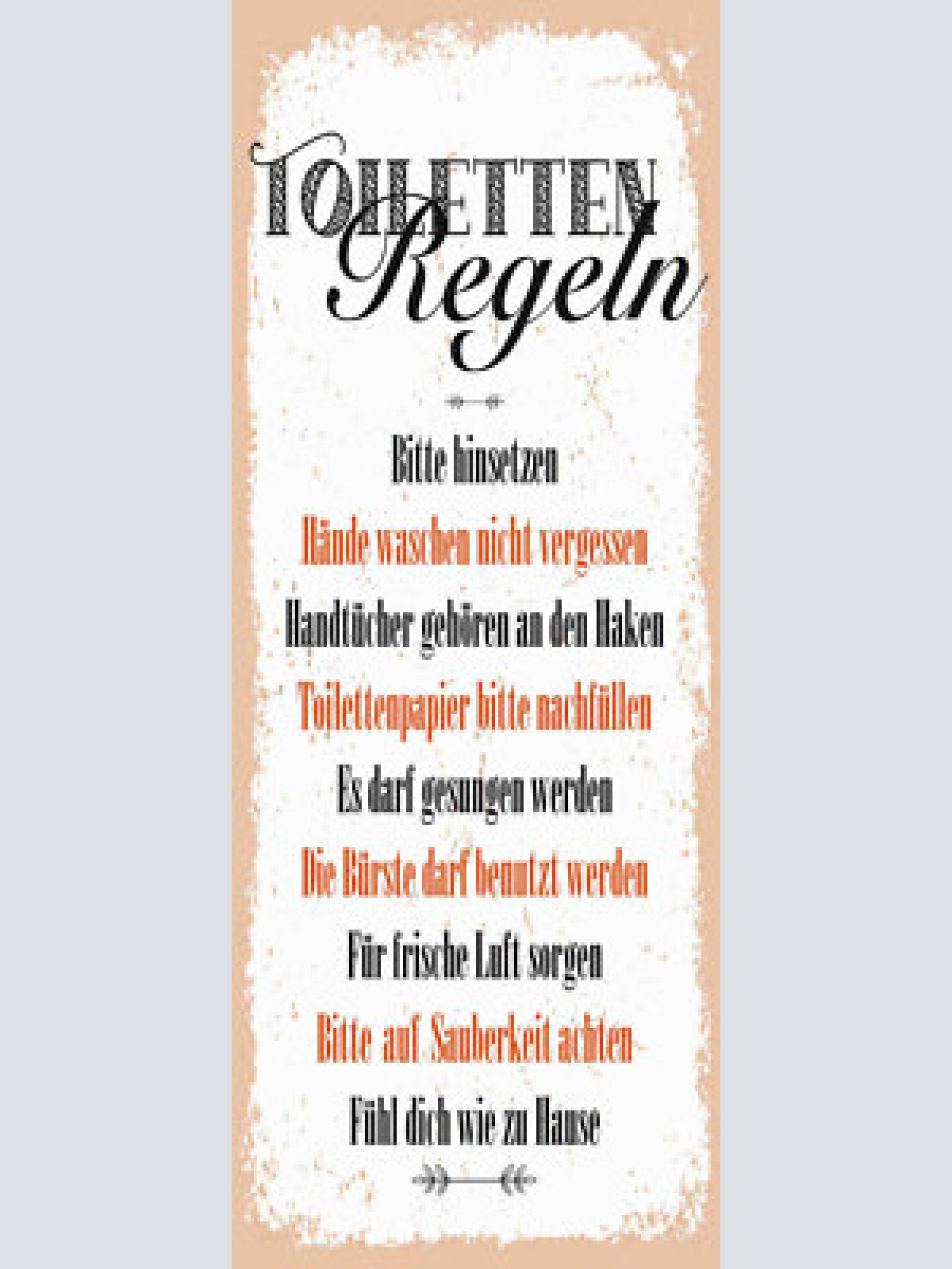 Schild toiletten regeln hinsetzen hände waschen papier bürste 27x10blech od.holz