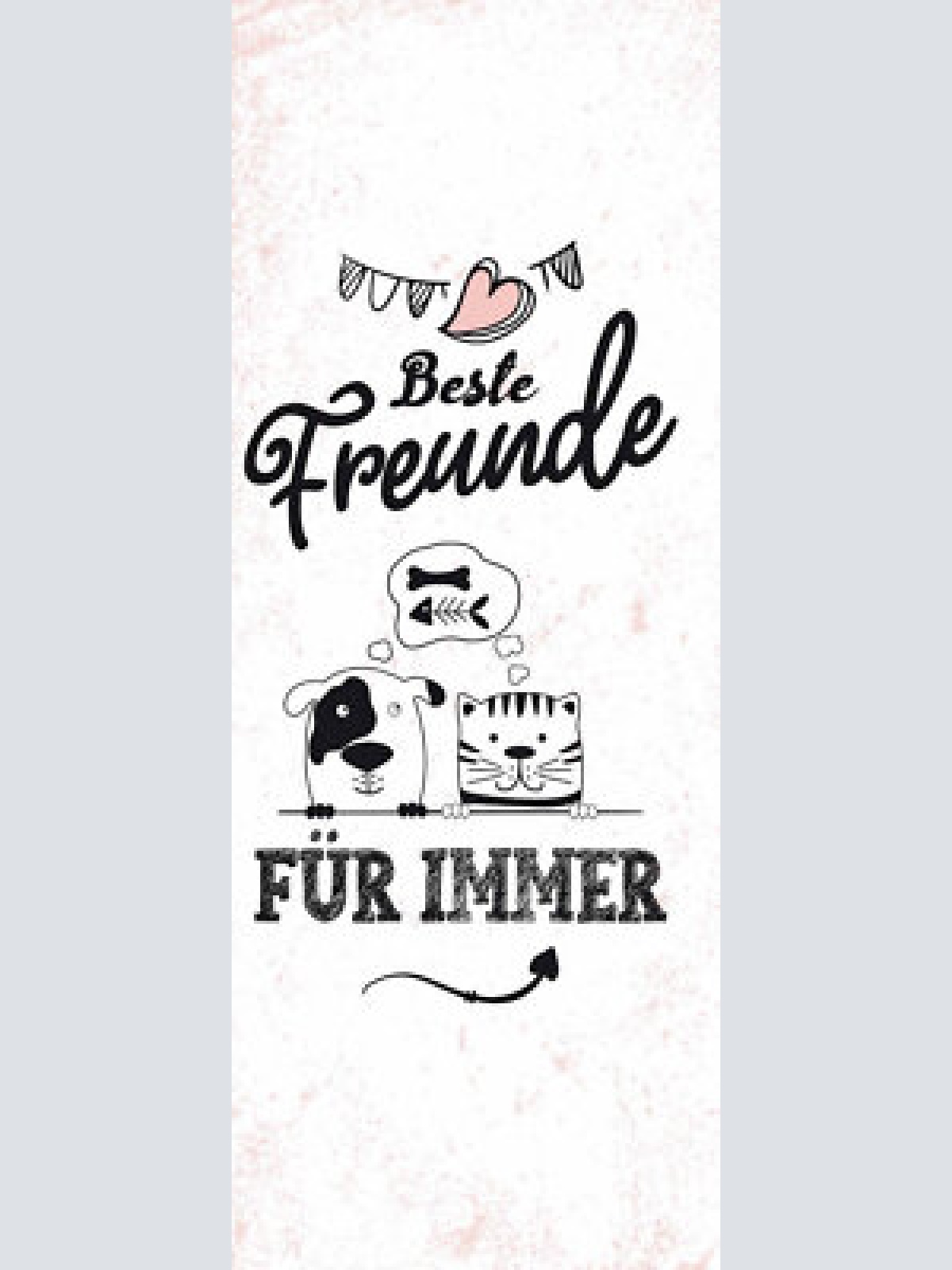 Schild beste freunde für immer freundschaft katze hund tier 27x10 blech od.holz