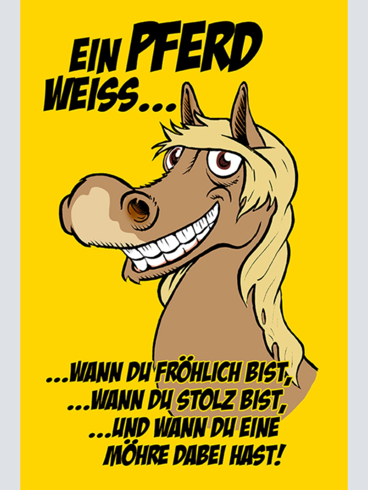 Schild Spruch Ein Pferd weiß wann du fröhlich bist Eine Möhre dabei hast JW