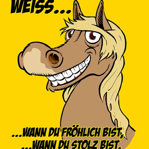 Schild Spruch Ein Pferd weiß wann du fröhlich bist Eine Möhre dabei hast JW