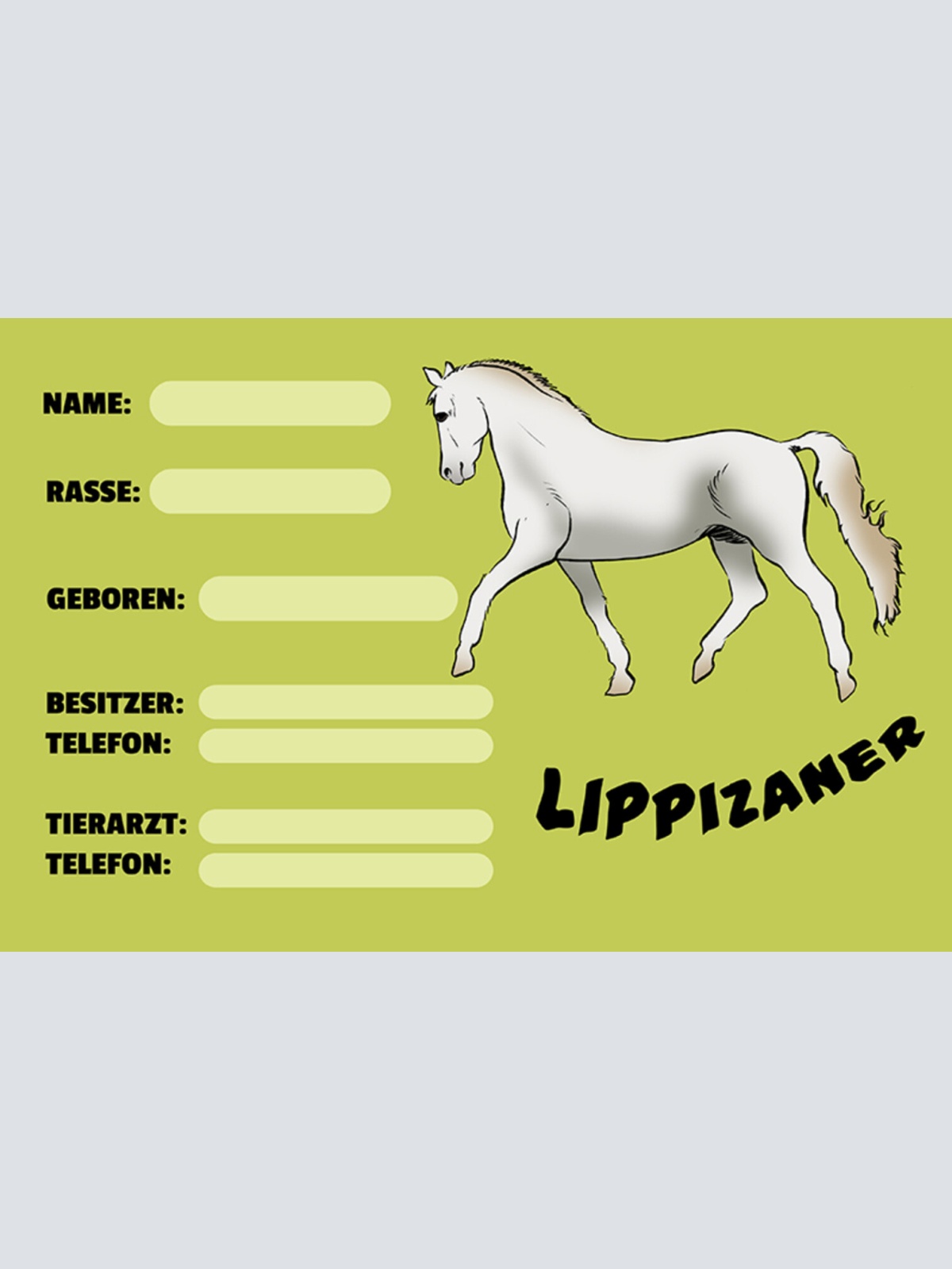 Schild Spruch Lippizaner Pferd Steckbrief  JW