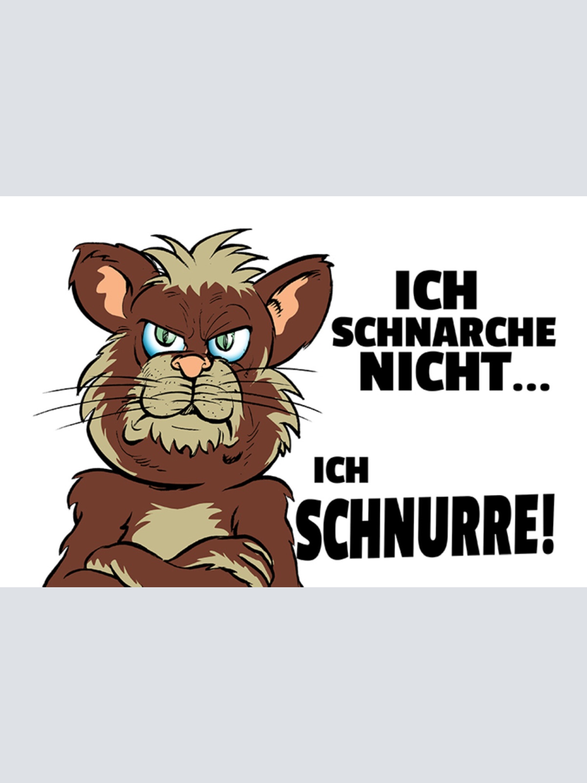 Schild Spruch Ich schnarche nicht Ich schnurre Katze JW