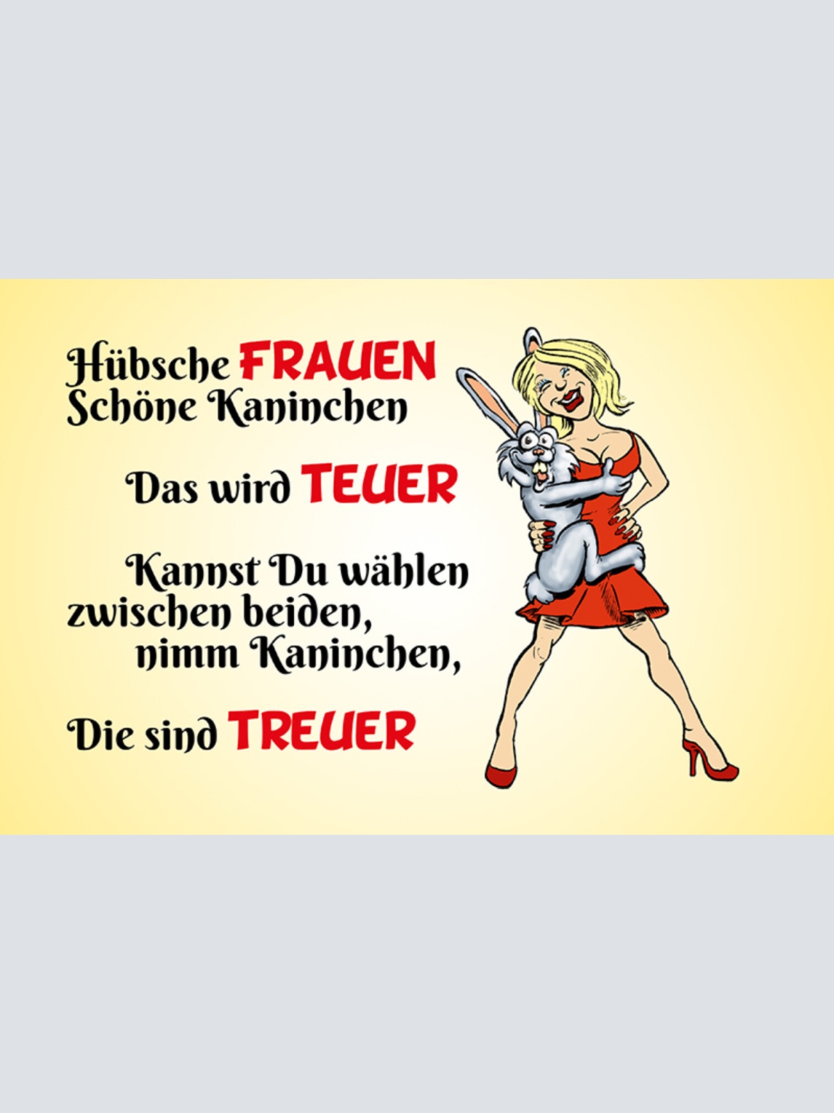 Schild Spruch Hübsche Frauen Schöne Kaninchen kannst du wählen nimm Kaninchen JW