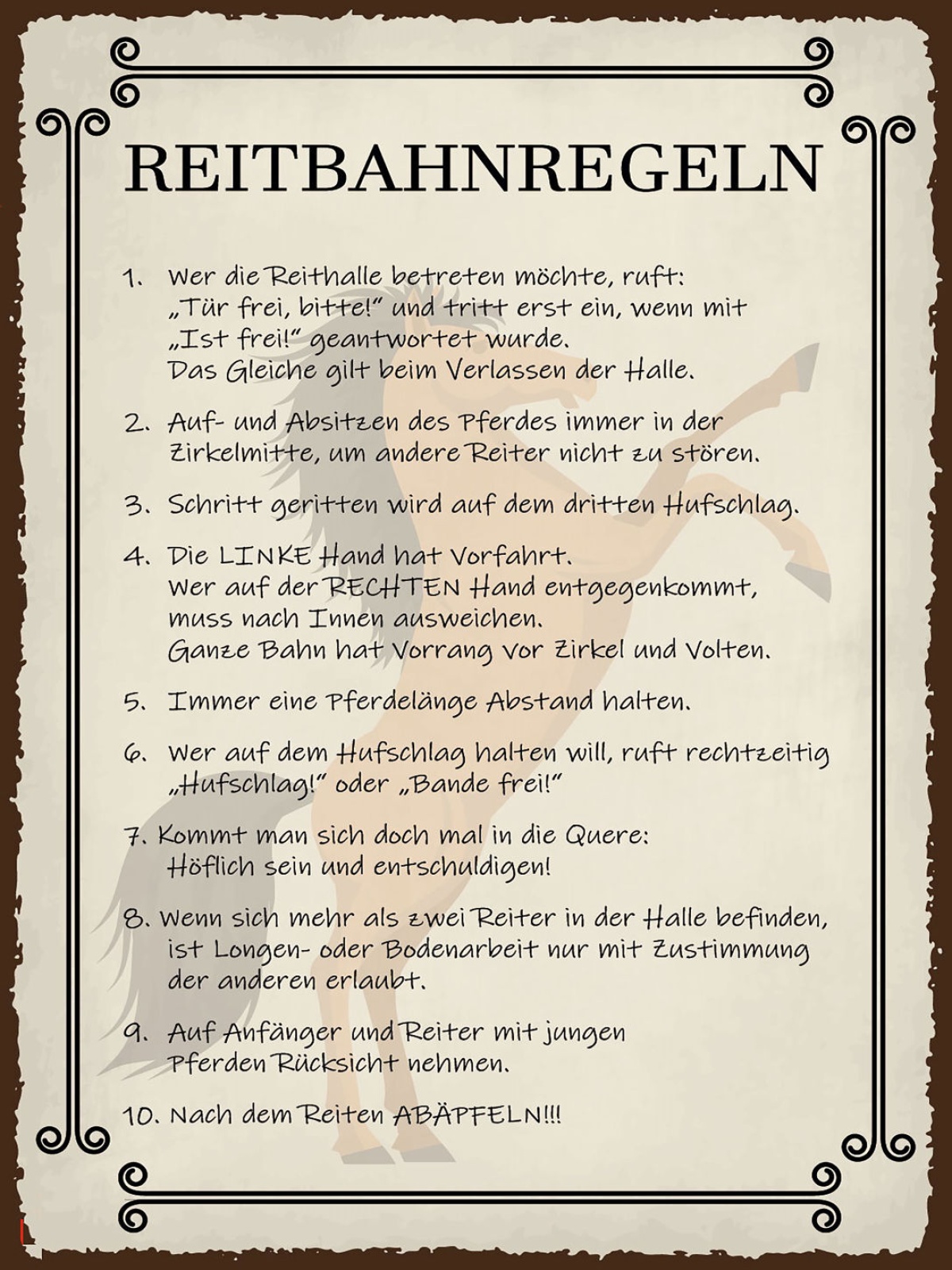 Schild Reitbahn Regeln Pferd Reiten Reiter 12x18 20x30 30x40 Blech od. Holz