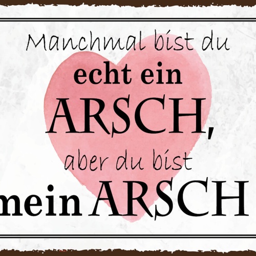 Schild Manchmal Bist Du Echt Ein Arsch Aber Mein 12x18 20x30 30x40 Blech od.Holz