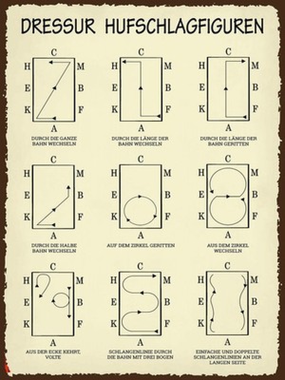 Schild Dressur Hufschlagfiguren Pferd Reiten 12x18 20x30 30x40 Blech od. Holz