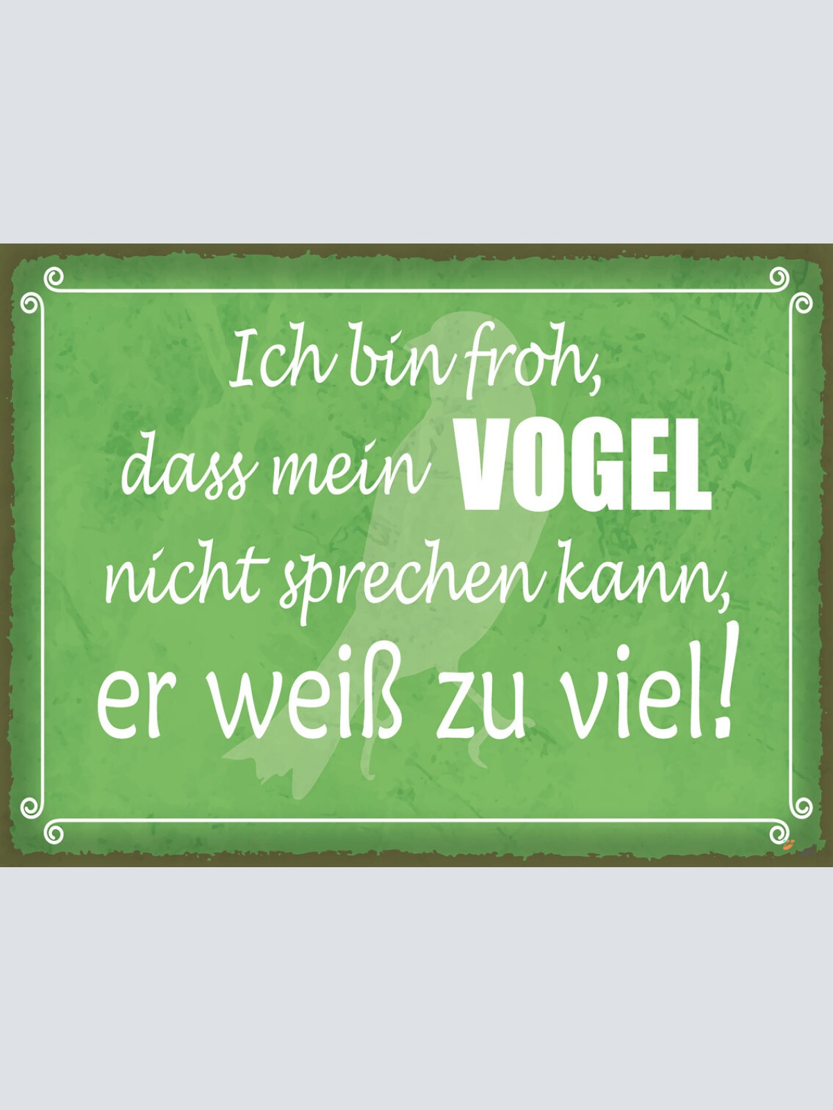 Schild Ich Bin Froh Mein Vogel Nicht Sprechen Kann 12x18 20x30 30x40 Blech/Holz