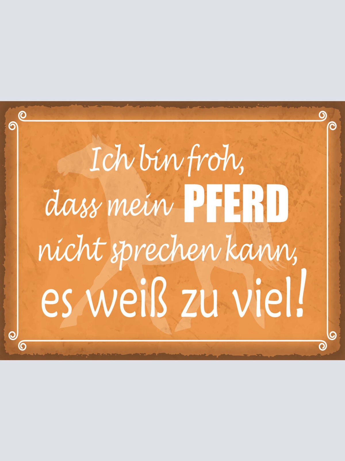 Schild Ich Bin Froh Mein Pferd Nicht Sprechen Kann 12x18 20x30 30x40 Blech/Holz