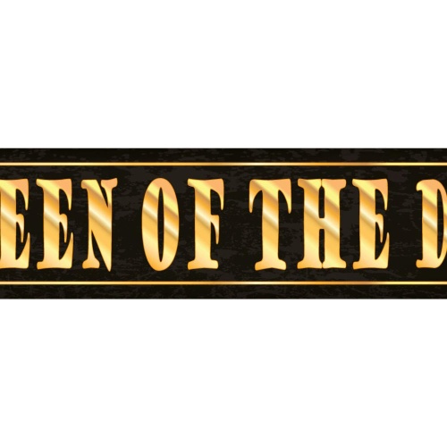 Schild Queen of the Day Königin Tag Glück Erfolg Laune 46 x 10 Blech od. Holz