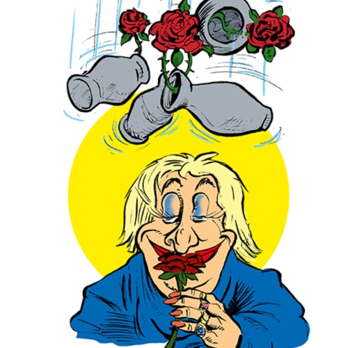 Schild Spruch Für Dich soll's rote Rosen regnen Mit Vasen Frauen JW