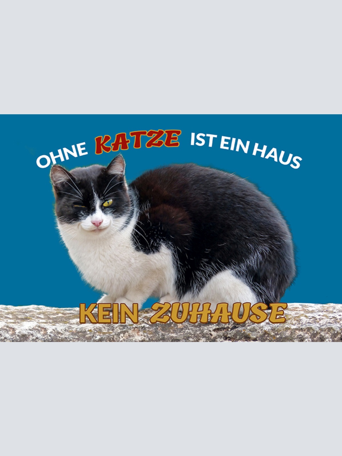 Schild Spruch Ohne Katze ist ein Haus kein Zuhause JW