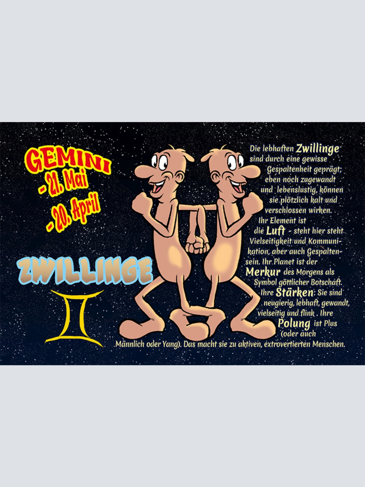 Schild Spruch Sternzeichen Zwillinge JW