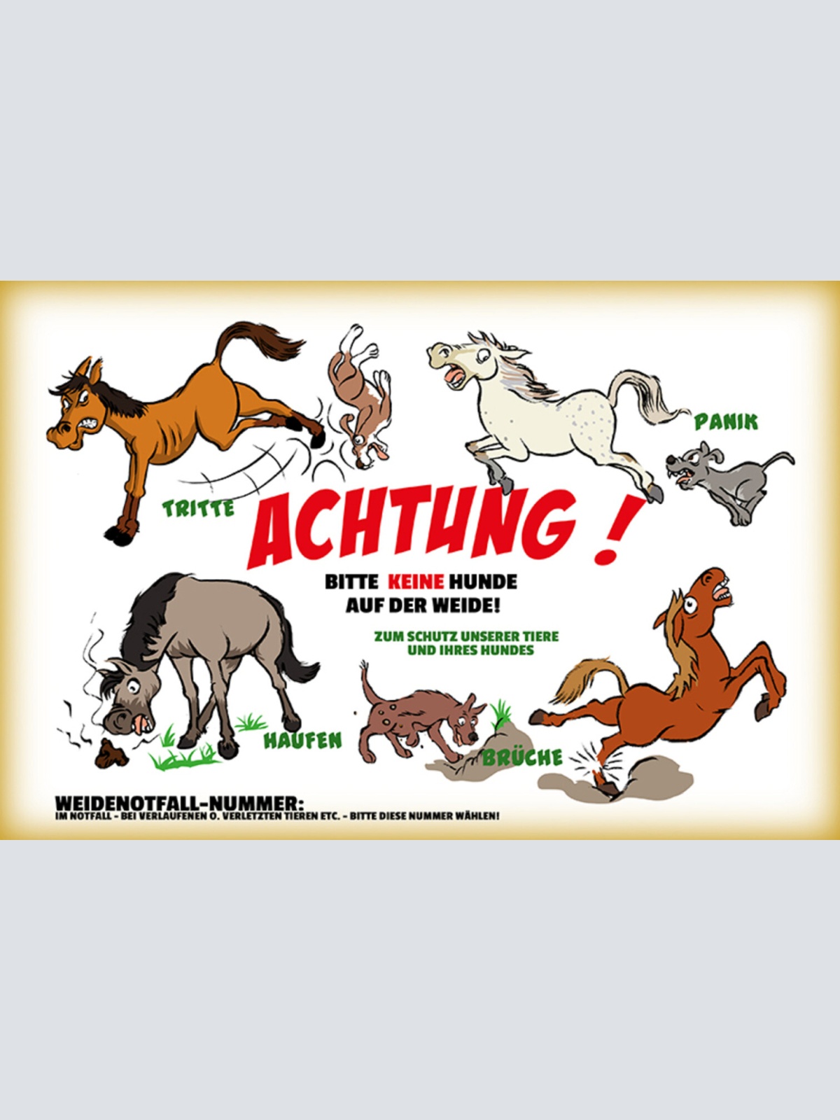 Schild Spruch Achtung Bitte keine Hude auf der Weide JW