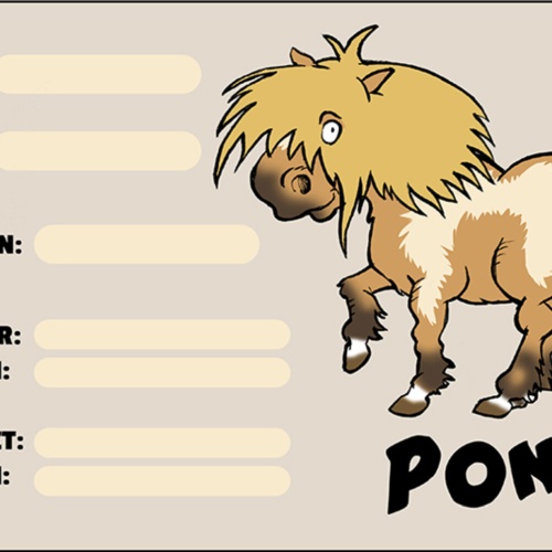 Schild Spruch Pony Pferd Steckbrief Name Rasse Geboren Besitzer Tierarzt JW