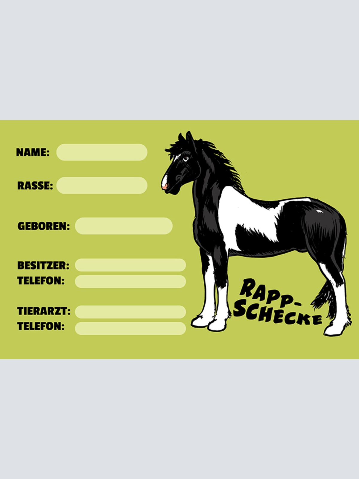 Schild Spruch Rapp-Schecke Pferd Steckbrief JW