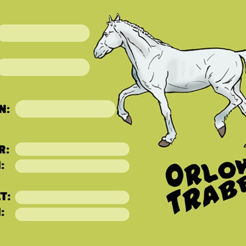 Schild Spruch Orlow Traber Pferd Steckbrief JW