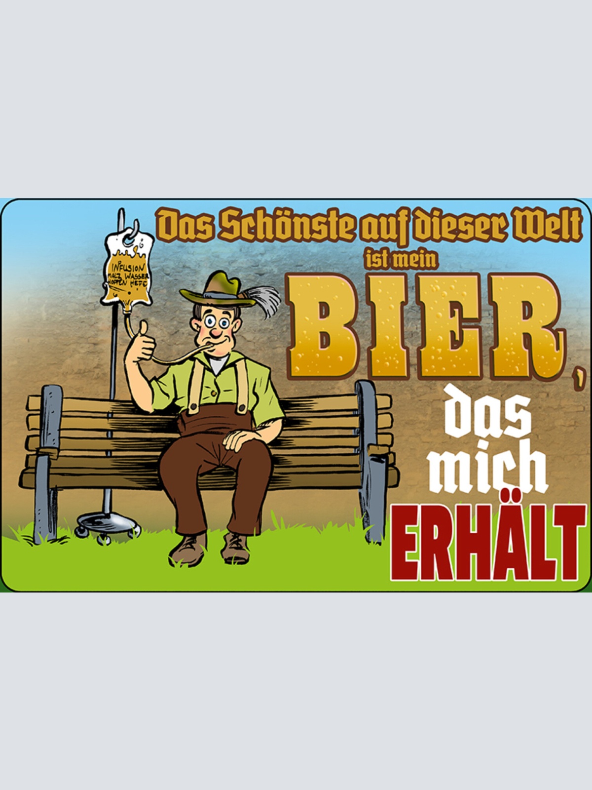 Schild Spruch Das schönste auf dieser Welt ist mein Bier Infusion Alkohol JW