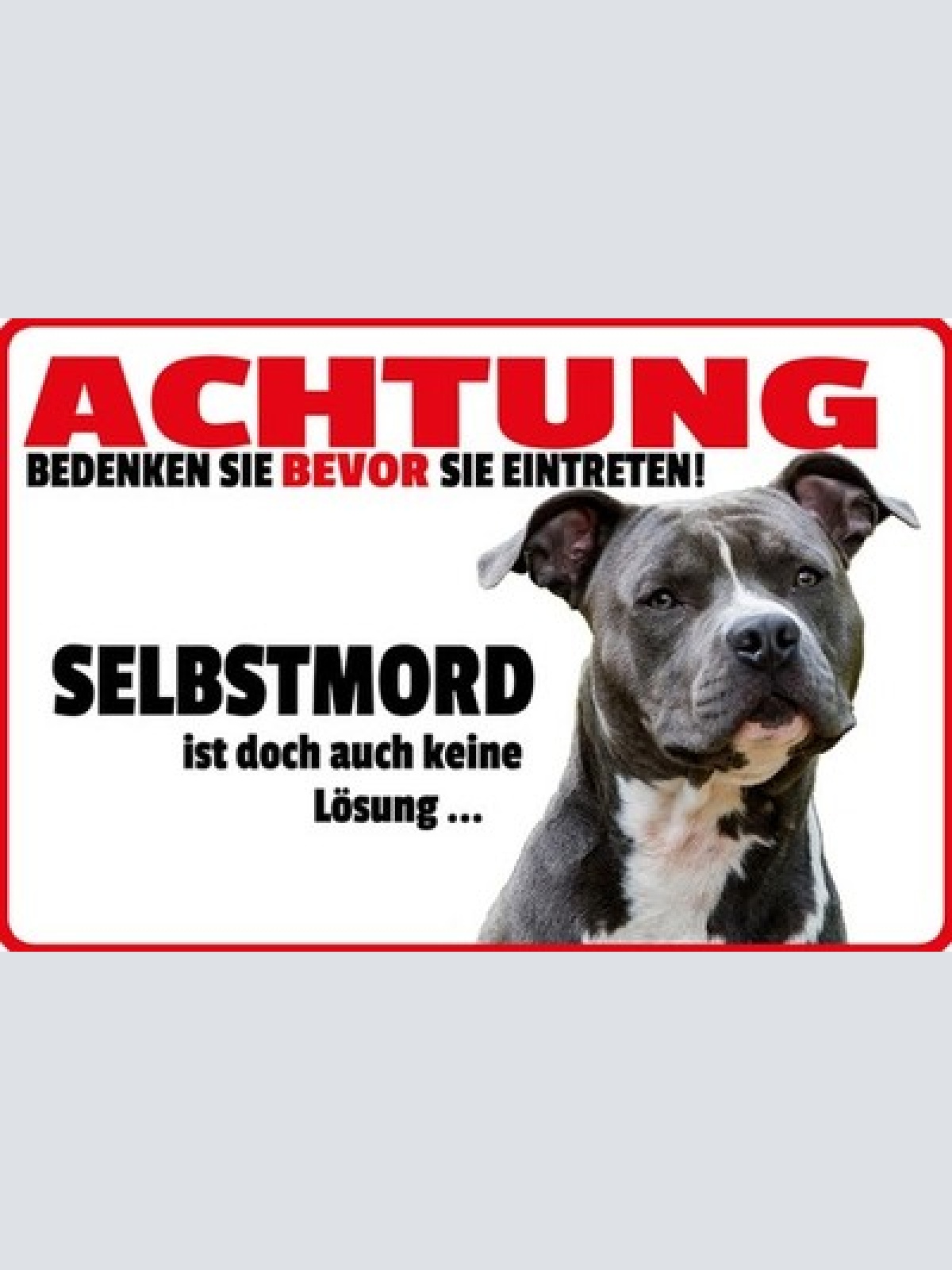 Schild Spruch Achtung Selbstmord ist keine Lösung Warnung Hund JW