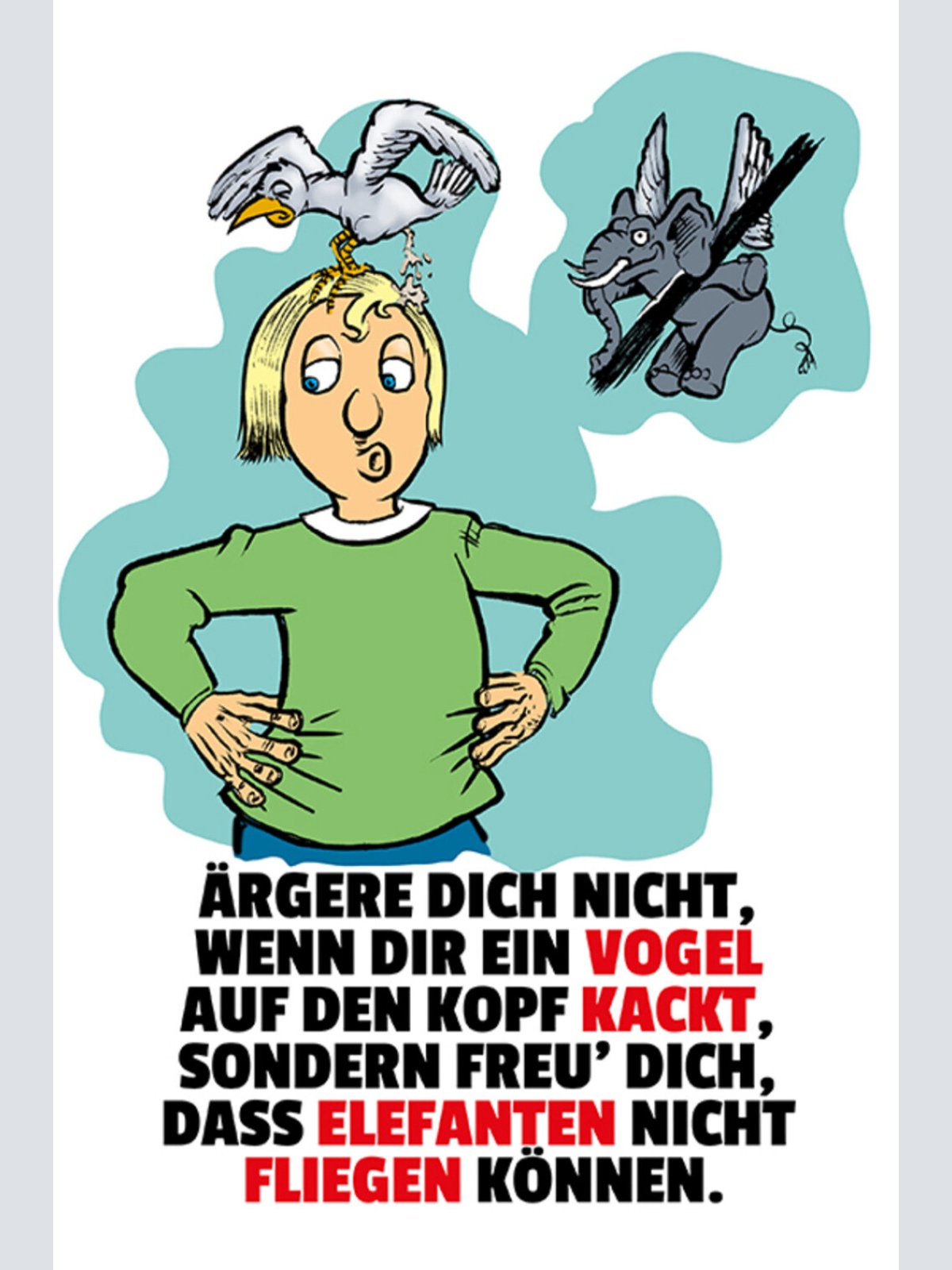Schild Spruch Ärger dich nicht wenn dir ein Vogel auf Kopf kackt Elefanten JW
