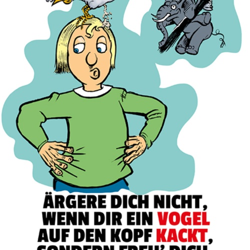 Schild Spruch Ärger dich nicht wenn dir ein Vogel auf Kopf kackt Elefanten JW