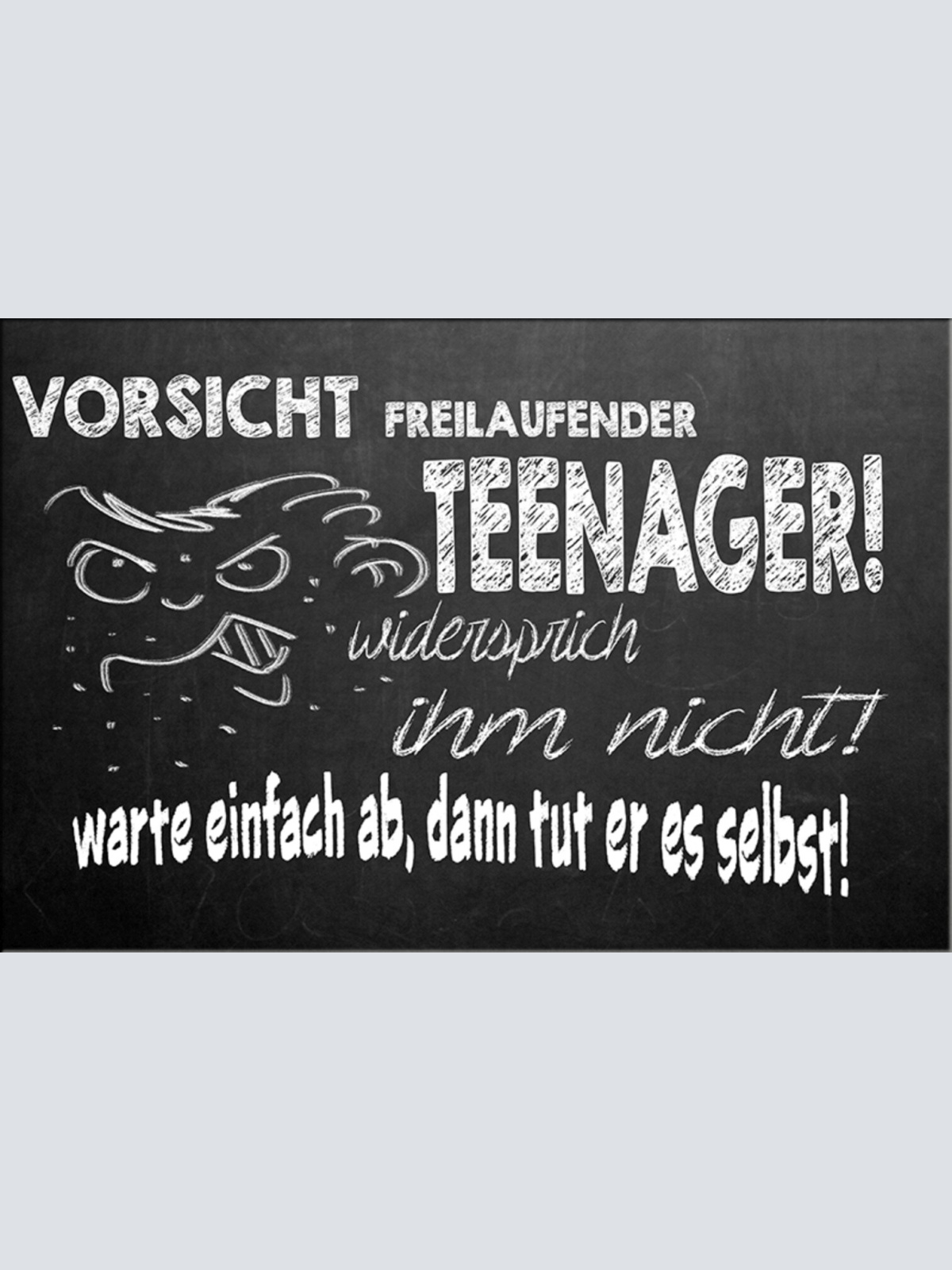 Schild Spruch Vorsicht freilaufender Teenager Widersprich ihm nicht warte JW