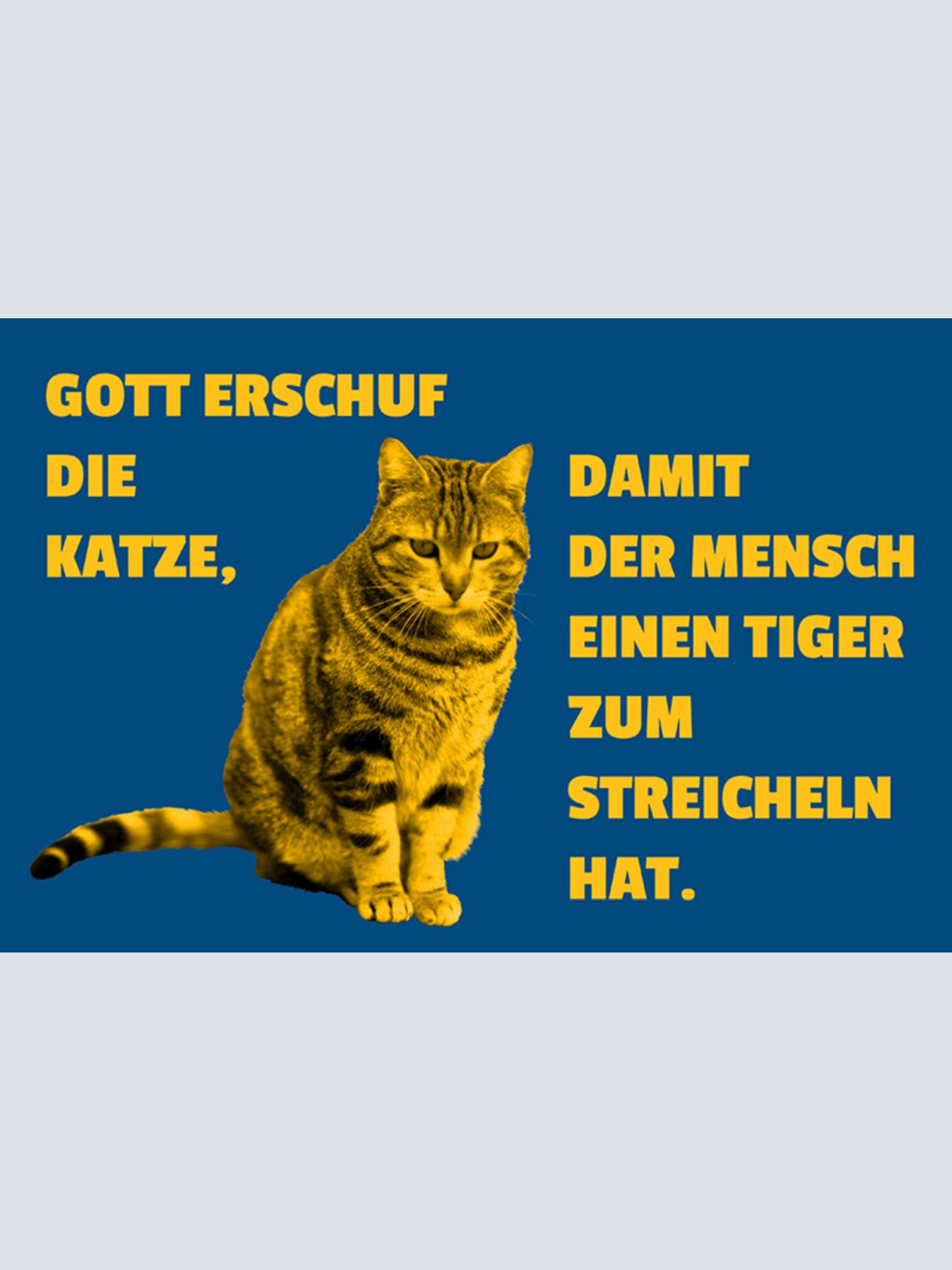 Schild Spruch Gott erschuf die Katze damit der Mensch einen Tiger streicheln JW