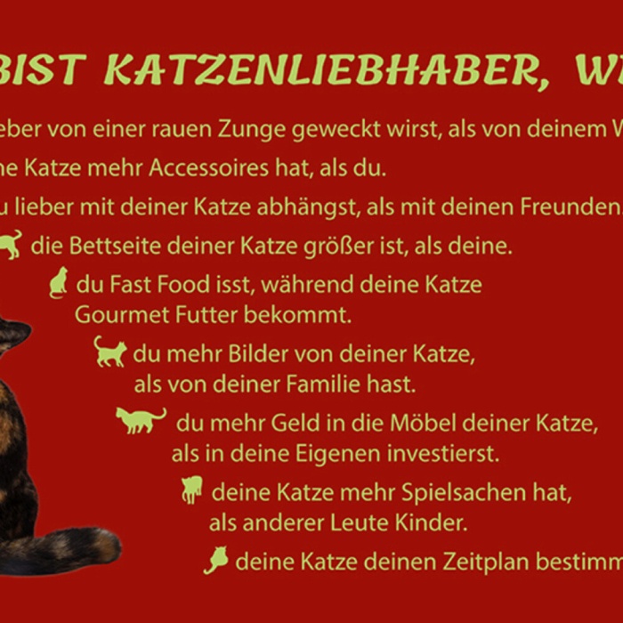 Schild Spruch Du bist Katzenliebhaber wenn du lieber von einer rauen Zunge JW